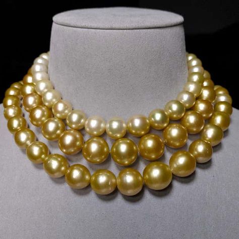 Golden Colour South Sea Pearl Necklace with 18k Gold Clasp For Sale at 1stDibs South Sea Pearl Necklace, Golden Colour, Big Necklace, Golden South Sea Pearls, Mermaid Aesthetic, Cartier Jewelry, Sea Pearl, South Sea Pearls, South Seas