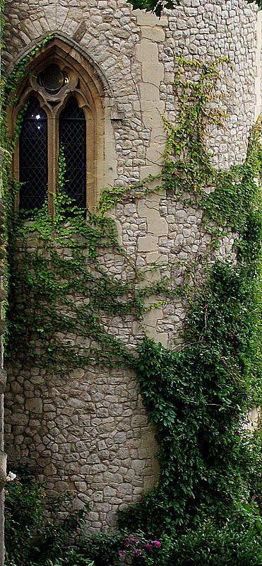 fairy tower Tower Balcony, Tangled Aesthetic, Castle Window, Castle Tower, Beautiful Windows, Concept Board, Tower Of London, Old Stone, Old Building