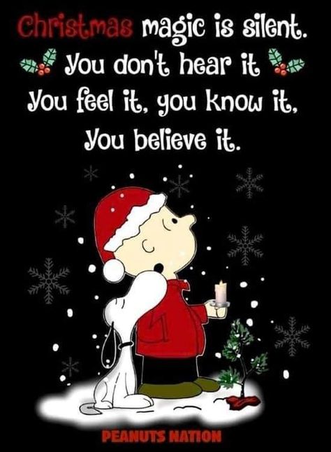 For all you Non believers, it's a feeling A Charlie Brown Christmas, Christmas Card Sayings, Christmas Poems, Charlie Brown Snoopy, Snoopy Quotes, Brown Christmas, Peanuts Christmas, Christmas Blessings, Charlie Brown Christmas