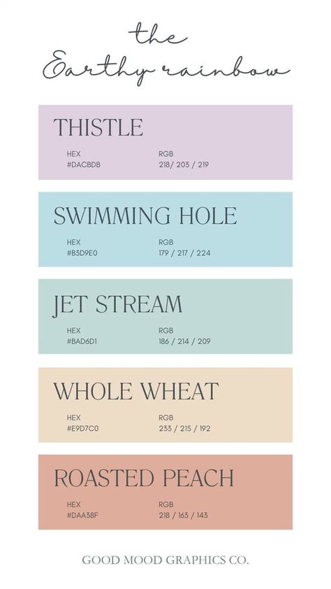 Boho Rainbow Color Palette Hex Code, Modern Cozy Color Palette, Muted Color Combos, Dusty Rainbow Color Palette, Cute Colour Palette Aesthetic, Neutral Rainbow Color Palette, Excel Color Palette Codes, Thistle Color Palette, Earth Tone Rainbow Color Palette