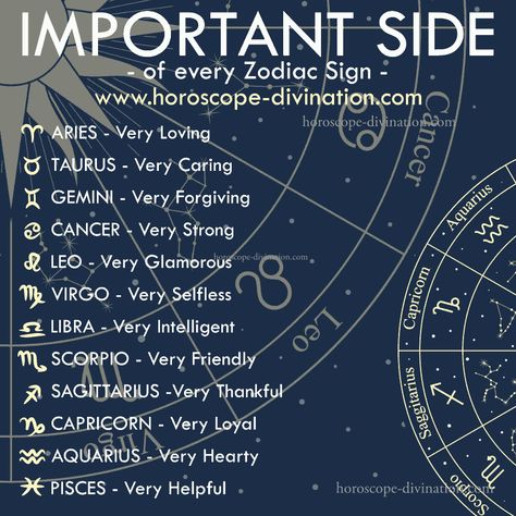 Zodiac Signs Funny Humor So True, Zodiac Memes Funny, Drummer Humor, August Virgo, Scorpio Eyes, About Zodiac Signs, Aries Virgo, Astrology Signs Aries, Zodiac Sign List