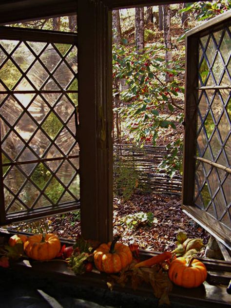 Witchy Cottage, Witches Cottage, An Open Window, Cottage Windows, Enchanted Cottage, Woodland Cottage, Forest Cottage, Cottage Witch, Witch Cottage