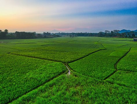 Tom Fisk · Photography Agriculture Land, Travel Train, Farm Pictures, Building Foundation, Field Landscape, Rice Field, Agricultural Land, Farm Logo, Green Field