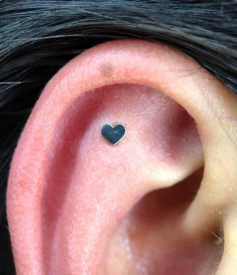 Helix And Flat Piercing Ideas, Heart Flat Piercing, Heart Cartilage Piercing, Types Of Cartilage Piercings, Cartalige Ear Piercing, Flat Cartilage Piercing, Cartalige Piercing, Flat Ear Piercing, Cartilage Piercing Ideas