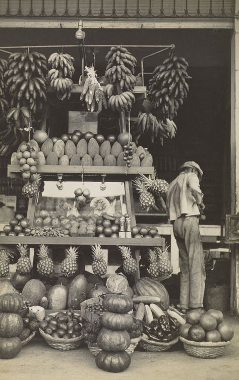 d    by Walker Evans /  Havana Fruitstand, 1933. Vintage Colombia, Tina Modotti, Vintage Cuba, Cuba Photography, Bichon Dog, Walker Evans, Ap Studio Art, Gordon Parks, Lauren Hutton