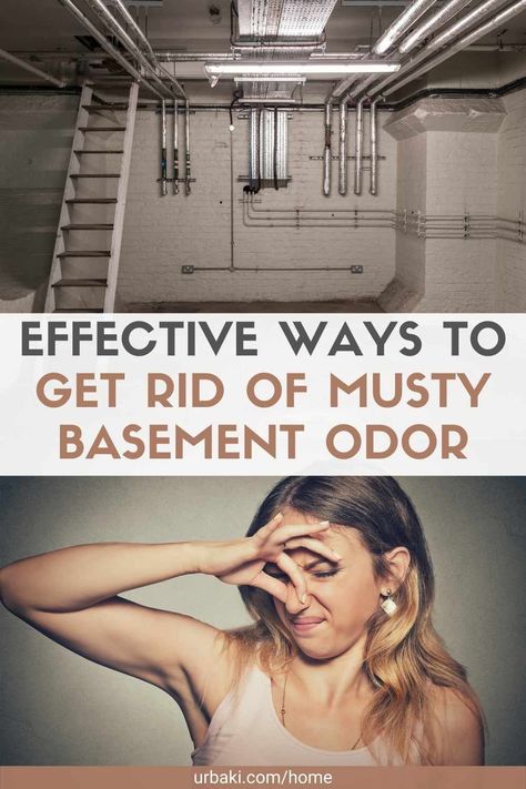 Dark Basement Makeover, Basement Cleaning Unfinished, Basement Arrangement Ideas, Simple Unfinished Basement Ideas, Bathroom In Unfinished Basement, How To Clean A Basement, Organizing Basement Unfinished, Rental Basement Makeover, Smelly Basement Remedy