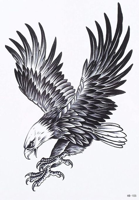 Hawk Tattoo Men, Eagle Tattoo Stencil, Hawks Tattoo, Hawk Tattoo Design, Hawk Tattoo, Crown Tattoo Design, Thai Tattoo, Eagle Tattoos, Crown Tattoo