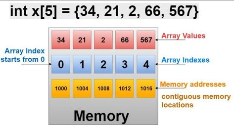 example of an array Bubble Sort, C Programming Language, Data Types, C Language, Computer Literacy, C Programming, Programming Tutorial, Data Structures, Primitive Style