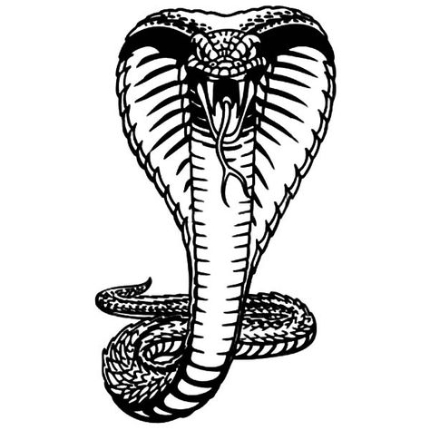 King Cobra, : King Cobra Hood Extended Coloring Pages Cobra Head Tattoo Design, King Cobra Tattoo, Cobra Tattoo, Snake Coloring Pages, Snake Drawing, Flag Coloring Pages, Snake Tattoo Design, Cobra Snake, Snake Art