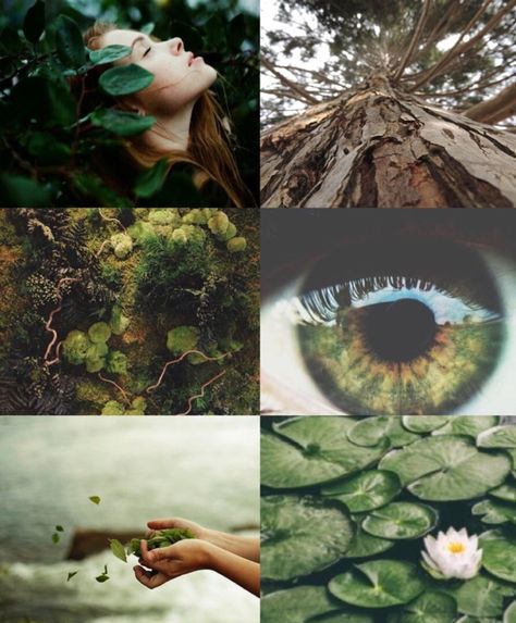 The next of our Elements series is Earth. Enjoy x Earth Girl Aesthetic, Girl Aesthetic Wallpaper, Earth Girl, Earthy Aesthetic, Magic Aesthetic, Earth Elements, Witch Aesthetic, Green Witch, Decor Minimalist