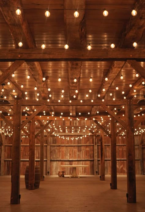 Diy Wedding Venues, Barnyard Wedding Decorations, Country Banquet Decorations, Country Decor For Party, Country Farmhouse Party Decor, Wedding Reception Summer, Fall Wedding Dance Floor, Fall Barn Party Ideas, Country Event Decor