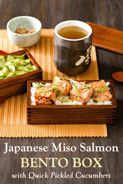 Salmon Bento, Miso Salmon Recipe, Bento Box Recipes, Miso Salmon, Japanese Food Bento, Pickled Cucumbers, Quick Pickled Cucumbers, Quick Pickled, Japanese Bento Box