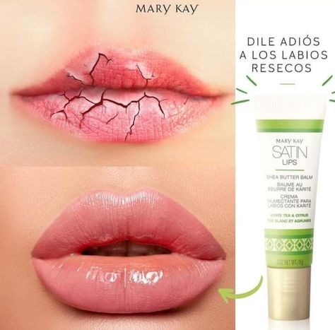 Imagenes Mary Kay, Mary Kay Ash, Mary Kay Ideas, Ely, Mary Kay, Coconut Oil, Ash, Facial, Lips