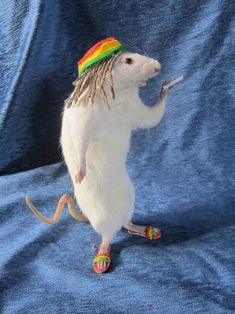 Funny Taxidermy, Pics Of Animals, Bad Taxidermy, Funny Rats, Do Cute, Cute Rats, Funny Animal Photos, Pet Rats, What The Heck