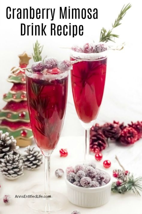 Cranberry Mimosa Recipe, Christmas Brunch Drinks, Poinsettia Cocktail, Mimosa Drink, Cranberry Mimosa, Xmas Drinks, Christmas Drinks Alcohol Recipes, Christmas Drinks Recipes, Cranberry Drinks