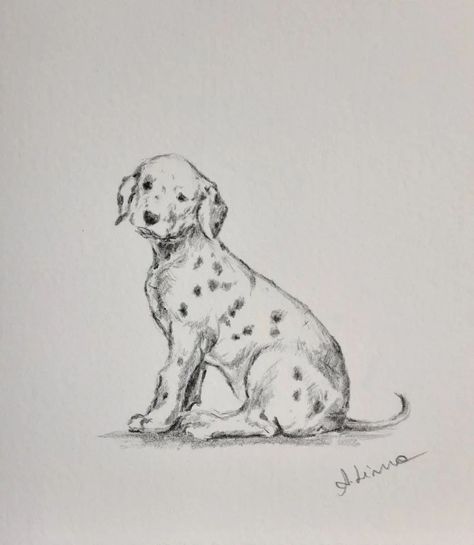 Dalmatian Drawing Sketch, Dalmatian Puppy Drawing, Dalmation Drawing, Puppy Drawing Sketches, Dalmatian Sketch, Dog Drawing Sketches, Dalmatian Drawing, Drawing Of A Dog, Puppy Sketch