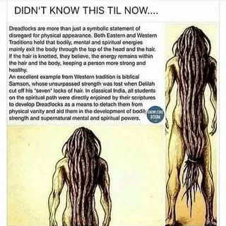 Black Fact, African Spirituality, Dreadlock Styles, Dreads Styles, Black Knowledge, Bohol, Dreadlock Hairstyles, Lion Of Judah, African History