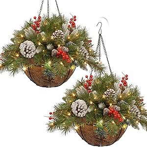 Winter Hanging Baskets, Christmas Hanging Baskets, Christmas Tree In Basket, Porch Front Door, Holly Decorations, Pretty Christmas Decorations, Christmas Plants, Christmas Holiday Decor, Christmas Porch Decor