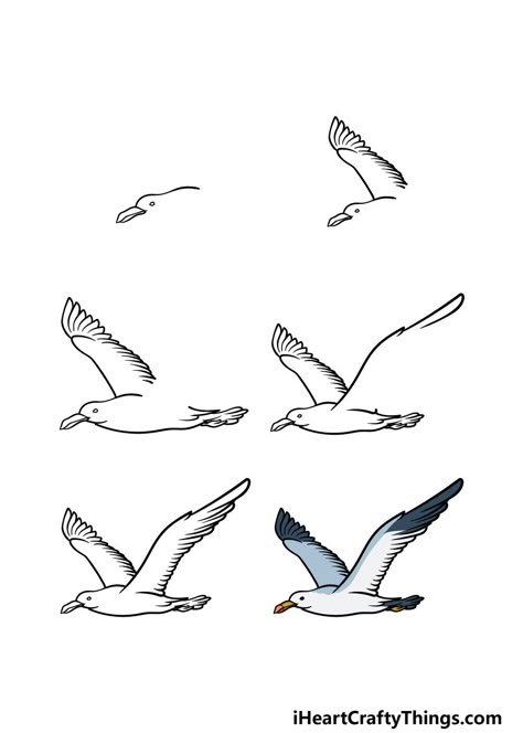 Seagull Drawing - How To Draw A Seagull Step By Step How To Paint Seagulls, How To Draw A Seagull Step By Step, Seagull Template Free Printable, How To Draw A Wave Step By Step, How To Draw A Seagull, Drawing Seagulls, Bird Drawings Easy Step By Step, Seagull Sketch, Seagull Drawing