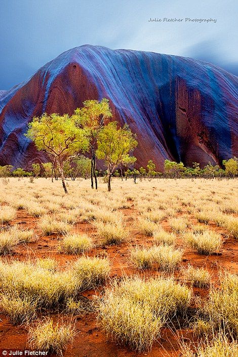 Red Centre: When she first left the city life Fletcher spent three months in the centre of Australia capturing sensational images of Ayers rock in the Northern Territory such as Nightscape (left) and Blue Tears and Bloodwoods (right) Outback Australia, Great Barrier Reef, Australia Travel, Nature Scenes, Places Around The World, Beautiful World, Beautiful Landscapes, In The Middle, Wonders Of The World