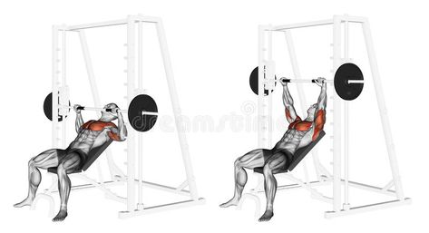 Exercising. Incline Smith Machine Bench Press stock illustration Smith Machine Workout, Push Workout, Weight Training Programs, Flat Stomach Workout, Incline Bench, Rear Delt, Smith Machine, Abs And Cardio Workout, Chest Muscles