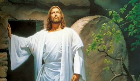 Jesus 'Walking Dead' Parody Tests Christian Tolerance Risen Lord, Jesus Is Risen, Christ Is Risen, Matthew 28, Jesus Resurrection, Follow Jesus, He Is Risen, Son Of God, Jesus Loves Me