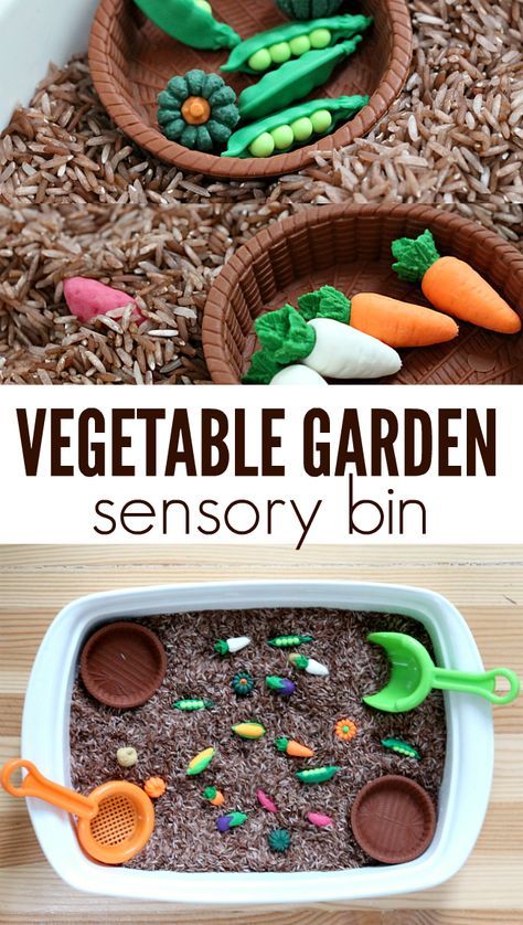 Explore vegetables with this great vegetable garden sensory bin. This is a great way to talk about where food comes from, how vegetables grow and more! Garden Sensory Bin, Garden For Kids, Garden Sensory, Garden Activity, Ocean Sensory, Sensory Tubs, Preschool Garden, Tuff Spot, Food Activities