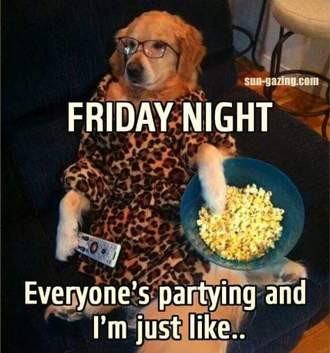 Friday Nights At Home Quotes, Friday Night Quotes Humor, Friday Night Humor, Friday Movie Quotes Funny, Funny Coffee Quotes Mornings, Friday Movie Quotes, Friday Night Quotes, Late Night Quotes, Coffee Quotes Morning