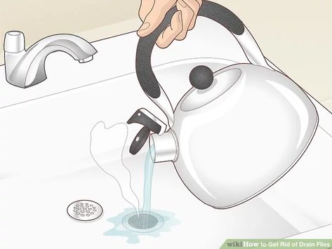 4 Ways to Get Rid of Drain Flies - wikiHow How To Get Rid Of Knats In The Sink, Fruit Fly Drain Cleaner, Fruit Flys How To Get Rid Of In Drain, Knats Killer Diy Drain, How To Get Rid Of Gnats In Sink Drain, How To Get Rid Of Fruit Flies In Drain, How To Get Rid Of Nats In The Drain, How To Get Rid Of Drain Flies In House, Drain Gnats Get Rid Of