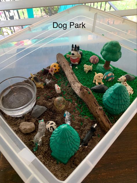 Dog Theme Sensory Bin, Cats And Dogs Preschool Theme, Pet Study Sensory Table, Dog Sensory Bin, Dog Activities For Toddlers, Pet Sensory Bin Preschool, Cat Sensory Bin, Pet Sensory Bin, Theme Week Ideas