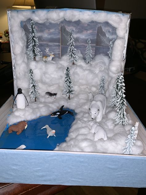 Attic Tundra Biome, Arctic Project, Penguin Diorama, Tundra Project, Ecosystems Diorama, Tundra Biome, Biome Project, Penguins Project, Habitat Project