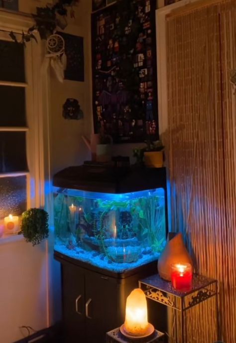 Fish Tank In Room Aesthetic, Ghibli Fish Tank, Aquarium Bedroom Aesthetic, Fish Tank In Bedroom, Apartment Aquarium, Pretty Fish Tank, Aesthetic Fish Tank, Fish Tank Aesthetic, Spongebob Fish Tank