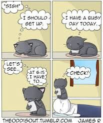 Cats sure have busy schedules Odd Ones Out Comics, The Odd 1s Out, Theodd1sout Comics, The Odd Ones Out, The Golden Girls, Online Comics, Funny Comic Strips, Cat Comics, Deathstroke