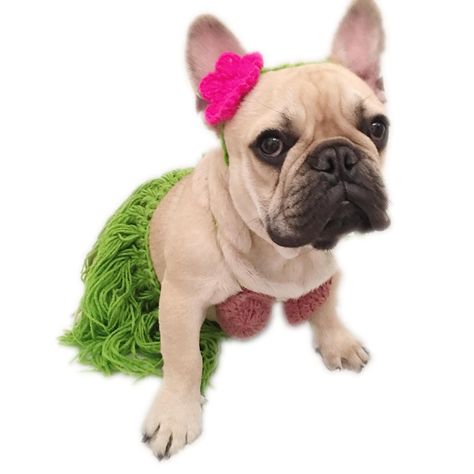 PRICES MAY VARY. Pet costume with grass-inspired skirt with flowers, bikini top and flower lei is perfect fit Halloween, summer party and more This dog bikini is handmade ,made of wool material . The neck and the chest it's can tied up,fit the small,medium and large dog.The wasit size maximum is 27.5"/70cm Sexy bikini & cute style make your pet more lovly. Please check the size before you ordered .NOT ALL COSTUMES WILL FIT ALL PETS or breeds without adjustment  High quality pet life start from " Cute Puppy Halloween Costumes, Girl Dog Costumes, Puppy Halloween Costumes, Halloween Summer, Small Dog Costumes, Skirt With Flowers, Hotdog Costume, Dog Outfits, Puppy Costume