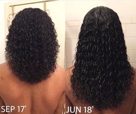 Curly Video, Texlaxed Hair Growth, Relaxed Curls, Texlaxed Hair, Blond Rose, Make Hair Grow Faster, Longer Hair Growth, Big Afro, Hair Growth Foods