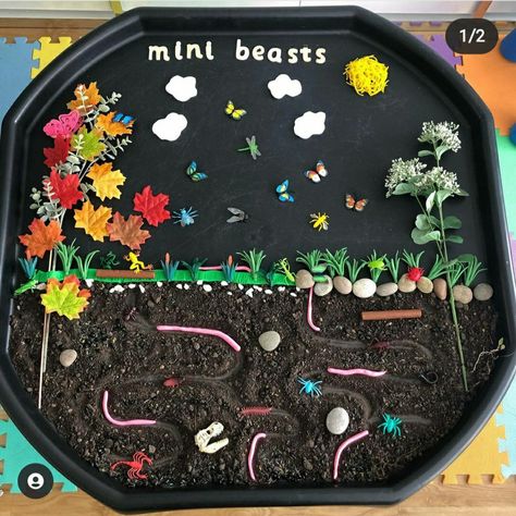 Sensory Tuff Tray Ideas, Tuff Tray Ideas For Toddlers, Minibeast Display, Minibeasts Eyfs, Minibeasts Activities, Tuff Tray Ideas Toddlers, Tuff Tray Ideas, Mini Beasts, Tuff Spot