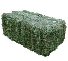 Lucerne Hay Hay Bale Pictures, Hay Shed, Bale Of Hay, Alfalfa Hay, Old Man Winter, Grass Hay, Eat Less, Horse Feed, We Shed