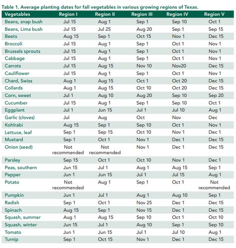 Texas Fall Garden, Fall Vegetable Gardening, What To Plant When, Vegetable Planting Guide, Garden Cactus, Winter Vegetables Gardening, Tattoo Plant, Gardening Guide, Vegetable Garden Tips