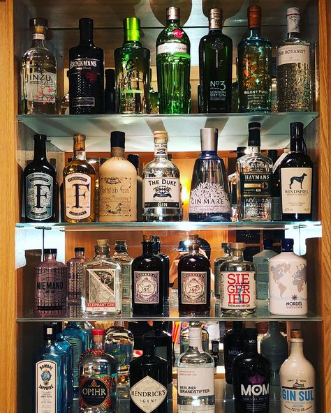 Gin Aesthetic, Gin Collection, Alcohol Collection, Whiskey Collection, Home Bar Design, Gin Bottle, Alcohol Aesthetic, Gin Bottles, Alcohol Drink Recipes