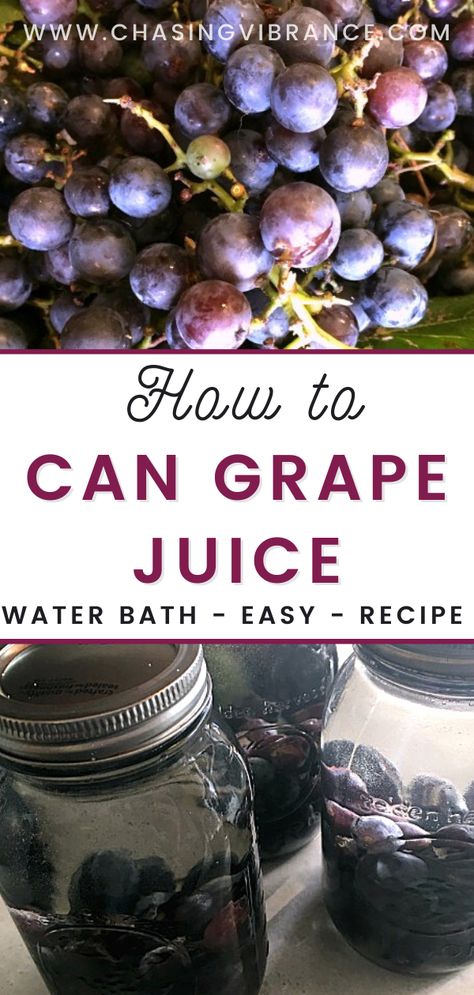 Concord Grape Juice Canning, Canned Grape Juice Recipe, How To Make Homemade Grape Juice, How To Can Concord Grape Juice, How To Can Homemade Grape Juice, Homemade Grape Juice Easy, How To Make Grape Juice From Grapes, Grape Juice Canning Recipe, Canned Grape Juice