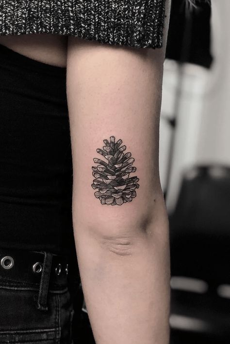 Tattoodo Pine Cone Tattoo Design, Pine One Tattoos, Pine Cone Tattoos, White Pine Cone Tattoo, Pine Tattoo Branch, Red Pine Tree Tattoo, Lodgepole Pine Tattoo, Scots Pine Tattoo, Conifer Tattoo