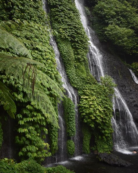 Going through an un-editing phase where I find RAW photos from years ago and re-edit them to salvage them from the 2016 tumblr edit phase I went through…is this my frontal lobe developing? #thisis26 Munduk Bali, 2016 Tumblr, Ubud Hotels, Bali Itinerary, Bali Guide, Frontal Lobe, Honeymoon Destination Ideas, Bali Travel Guide, Waterfall Adventure