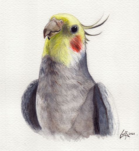 Nature Art Painting, Animated Drawings, Bird Drawings, Realistic Drawings, Book Art Drawings, Cool Art Drawings, Watercolor Animals, Colorful Drawings, Line Art Drawings