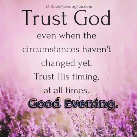 Trust God and his timing - Good Evening Good Evening Inspirational Quotes, Good Evening Scripture Blessings, Evening Greetings Quotes, Evening Blessings Quotes Faith, Blessed Evening Quotes, Evening Inspirational Quotes, Good Evening Quotes Inspirational, Good Evening Images Beautiful, Evening Status