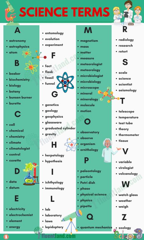 Science Vocabulary Word List - Fluent Land Science Terminology, Chart On Science Topics, Science Of Reading Vocabulary, Biology Vocabulary High Schools, Science Vocabulary Activities, Cell Theory, Alphabet Words, Science Words, Science Vocabulary