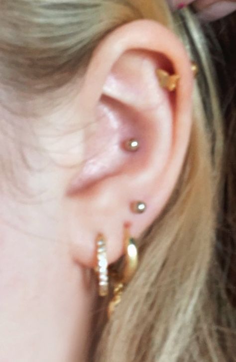 Ear stack, earrings, jewellery, conch, lobes, helix, piercing healing, #piercing #conch #helixpiercing #stackedlobes #jewllery #earrings https://www.amazon.co.uk/gp/search?ie=UTF8&tag=kentd-21&linkCode=ur2&linkId=e58baacba54c9289d965159a5ba3ed7f&camp=1634&creative=6738&index=jewelry&keywords=Earrings Three Lobe Piercings, Helix And Conch Piercing, Piercing Healing, Auricle Piercing, Stack Earrings, Piercing Conch, Lobe Piercing, Ear Stack, Conch Piercing