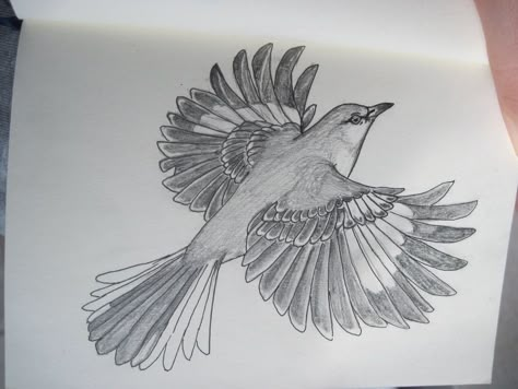 Drawing of mockingbird with wings spread. Hawaiian Tattoo Traditional, Mockingbird Tattoo, Bird Tattoo Sleeves, Robin Tattoo, Red Bird Tattoos, Fly Drawing, Hawaiian Tattoos, Mocking Birds, Flying Bird Tattoo