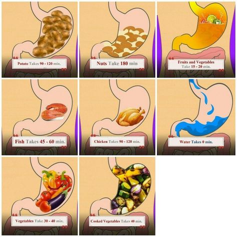 Digestive Time Digestion Time Of Foods, Good Digestive Foods, Food Good For Digestion, Good Digestion Tips, Healthy Digestion Tips, Easily Digested Meals, Food Digestion Time Chart, Easily Digested Foods, Food Digestion