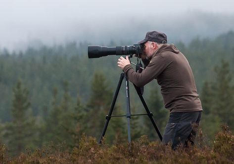 Sketch Reference, National Geographic Photographers, Wildlife Photographer, Types Of Animals, Wildlife Habitat, The Visitors, New Things To Learn, Wildlife Photography, The Valley