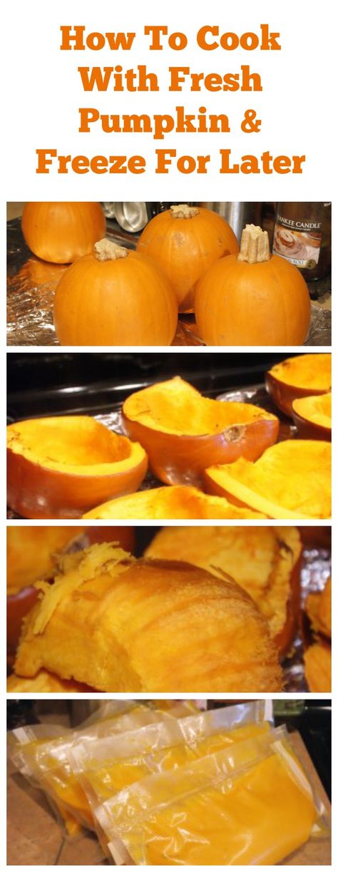 How to Freeze & How to Can Fresh Pumpkin Pie Pumpkins, Fresh Pumpkin Pie, Fresh Pumpkin, Pie Pumpkin, Cook Healthy, Food Dog, Freezer Cooking, Canned Pumpkin, Canning Recipes